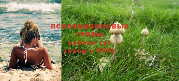гашик Алзамай
