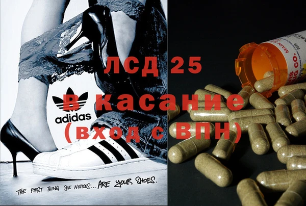 дживик Аркадак