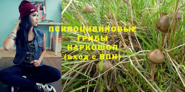 дживик Аркадак