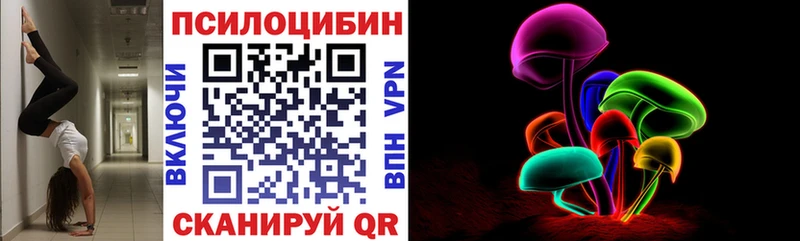 закладка  Сочи  Псилоцибиновые грибы мухоморы 